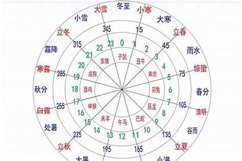 柔五行|柔的五行属性是什么